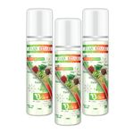 Qelica Ayurvedic Mouth Fresheners Spray - Freshen Breath and Improve Oral Health Naturally (Paan Kesari)