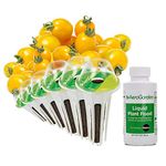 AeroGarden Golden Harvest Cherry Tomato Seed Pod Kit 6-pod