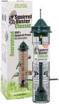 Squirrel Proof Bird Feeder - Squirrel Buster Classic - Marauders Off! Guaranteed Squirrel Proof/Metal