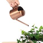 300ml Solid Watering Can Small Stainless Steel Watering Can Plant Flower Long Spout Sprinkling Pot for Home Use