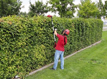 Einhell 18V Cordless Pole Hedge Trimmer – Telescopic Garden Tool