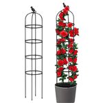 Garden Trellises for Climbing Plants, 6 Ft Garden Obelisk Trellis, Plastic Coated Rustproof Metal Pipe Supports for Indoor Outdoor Flowers Vegetable Fruits Vines Support