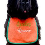 Royal Dog Bibs bandanas: Handmade, Personalized, Waterproof, Stylish, Customizable Pet Accessories for Kings and Queens! pups to adults - all breeds