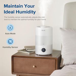 LEVOIT 3L Bedroom Humidifier – Cool Mist, Quiet Air Moisturizer