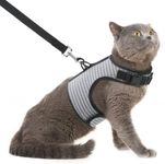 PUPTECK Cat Harness and Leash - Escape Proof for Walking, Reflective and Breathable Cat Vest Harness with Safety Buckle, Easy Control and Adjustable for Small Medium Large Cats, Puppies