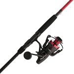 PENN Fierce IV Spinning Reel and Fi