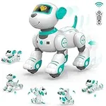 STEMTRON Remote Control Robot Dog T