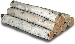 Wilson Enterprises White Birch Log 