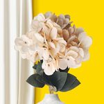 Kraft Seeds by 10CLUB Artificial Hydrangeas | Off-White Hydrangea Flowers | 7 Stems | (Vase not Included)