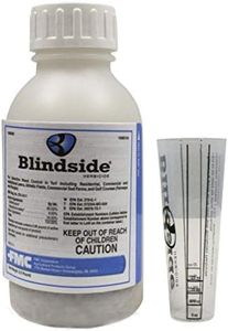 Blindside 