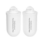 Purewell 2 Pack 9-Stage Composite Filter, Replacement Filter for Water Purifier, Compatible with （PW-FH） Gravity Filtertion System, Reduces Fluoride、Chlorine and Heavy Metals