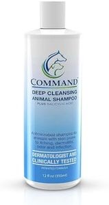Command An