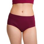 REVAA Hip Hugger Period Panty for Women & Girls (L, Pack of 1, Wine) Reusable & Leak Proof Menstrual Underwear, No Pads Required, Rash-Free Comfort, for Super Heavy Flow, Lasts Up to 2 Yrs