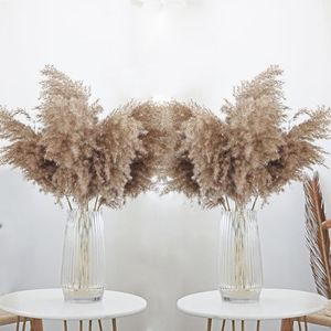 ROOLLYA 30 Stems 28” inch Fluffy Brown Pampas Grass Decor Tall - Natural Dried Pampas Grass, Large Pompas Grass, Dry Pampas Bulk for Living Room Decor, Boho Home Decor, Wedding Decor, Gift(30 Brown)