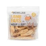 Dog Chits Lamb Ears Dog and Puppy T