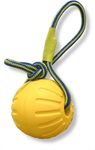 Petarchi Rope Ball Dog Toy | Interactive Pet Toy for Training, Tug, Chew & Fetch | Improves Dental Health | Safe, Non-Toxic & Floatable | Ideal for Powerful Chewers | Indoor & Outdoor Play (Large)