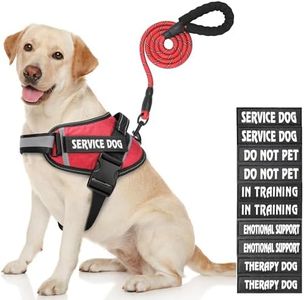 Service Dog Harness, DEWVIE Dog Vest and Leash Set with 10 Patches, Breathable in Training Dog Vest Harness with Soft Handle for Small Medium Large Dogs (RED, Large)