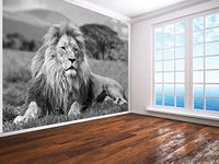 Big Lion Lying on Grass Black and White Photo Wallpaper Wall Mural (23696791) (220gsm Premium, XXL 300cm Wide x 240cm high)