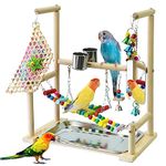 BREUAILY Parrot Stand With Mirror Natural Wood Bird Playground with Feeder Cup Swing Climb Ladder and Tray Parrots Perch Gym Traning Chew Toys for Small Parakeets Finch Budgie