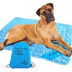 INSPECTOR TAIL Self Cooling & Traveling Mat + Free String Bag Pack/Washable & Portable Pet Soft Pad for Indoor or Outdoor/Perfect for Dog & Cats for Car Travel Kennel Sofa Bed Floor/Blue