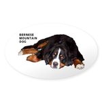 CafePress Bernese Mountain Dog Oval Sticker Oval Bumper Sticker Car Decal