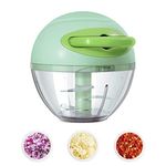 RYKKZ Garlic Mincer,Mini Vegetable Processor,Mini Chopper Can Chop Several Cloves of Garlic at Once,Quick and Easy to Operate,Very Suitable for Chopping Garlic,Chili, and Peanut Onion, and Nuts.