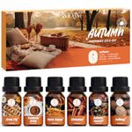 SoulOrigin Autumn Essential Oils Set, Fragrance Oil Set for Oil Diffusers for Home, Soap Candle Making Scents 6x10ml - Pumpkin Spice, Nutmeg, Apple Pie, Autumn Harvest, Cinnamon, and Maple Syrup