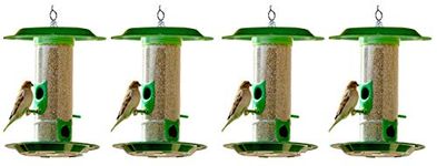 Amijivdaya Medium Bird with hut Feeder (4 Pieces)