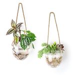 Ivolador Terrarium Container Flower Planter Hanging Glass for Hydroponic Plants Home Garden Decor (Half Bowl)