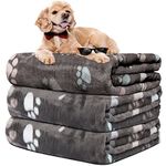 Rezutan Blankets for Dogs,3 Pack Grey Dog Blankets for Medium Dog,Large,Small Dogs Soft Fleece Dog Blanket Washable,Pet Blanket for Cats,Cute Paw Print, Pet Mat Throw for Kennel Crate Bed,106 * 76CM