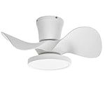 ocioc Quiet Ceiling Fan with LED Li