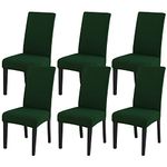 Green Forest Chair For Backs