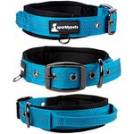 SparklyPets Heavy Duty Dog Collar with Handle for Medium and Large Dogs – Professional Collar with Reflective Stitches, Soft Handle & Nickel-Plated Buckle (Medium (14,5"~18,5"), Blue)