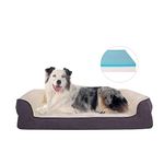 Petorrey Rabbit Plush Orthopedic Dog Bed, 7 inches Height Memory Foam Pet Sofa with Cooling Gel, Removable Cover & Waterproof Liner