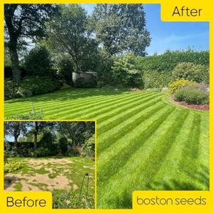 Boston Seeds Premier Grass Seed 5kg – Premium Professional Lawn Mix