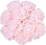 U'Artlines 20 Heads Artificial Peony Silk Flower Leaf Home Office Wedding Party Festival Bar Decor (Light Pink)