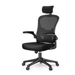 naspaluro Office Chair Desk Chair with Back Support, Ergonomic Chair with 90° Flip-Up Armrest, Adjustable Headrest, Swivel Mesh Chair for Home and Office Use (Black)