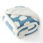 Lesure Washable Dog Blanket Sherpa - 100x120cm Waterproof Blanket for Dogs and Cats, Large Patterned Dog Throw Blankets Protects Bed and Couch Sofa with Soft Plush, 3D Textured Cloud, Blue