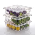 RIOMAX Fridge Storage Boxes Fridge Organizer with Removable Drain Plate and Lid Stackable Fridge Storage Freezer Storage Containers for Fish, Meat, Vegetables, Fruits (2500ML, Pack of 3)