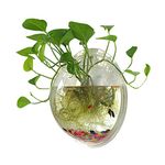 Sweetsea Hanging Wall Mounted Fish Bowl Betta Tank Aquarium Wall Decor Plant Fish Bubble - Clear (Medium)