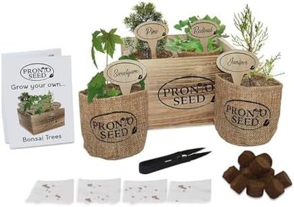 Pronto Seed Grow Your Own Bonsai Tree Kit - Indoor Gardening Gifts for Women and Men - Bonsai Tree Indoor Plant - Great Fathers Day Gift - in Reusable Wooden Box Complete with Bonsai Trimming Tool