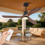 Obabala 52" Ceiling Fan with Lights