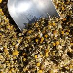 Organic Chamomile Flowers 350g