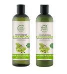 Petal Fresh Moisturizing Grapeseed Olive Shampoo + Conditioner Combo Pack of 2 | For Dry, Damaged Hair Types | No Sulphate, Paraben Free