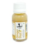 4MORE Cold Pressed Ginger (Adrak) Shot Juice | Fortified With Lemon & Honey | 240mL (Pack of 6x40 mL) | No Added Preservatives & Refined Sugar | 100% Natural Ingredients | Pleasent Natural Taste & Pure Drink