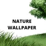 Nature Wallpaper HD Mobile offline