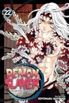 Demon Slayer Vol 22, Manga Book