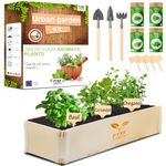 Indoor Herb Garden Kit PYEF CRAFTS - Grow Your Own Herbs Kit Indoor - Herb Seeds Basil, Parsley, Oregano and Coriander - Herb Growing Kit Indoors for Kitchen Windowsill - Herb Planter Indoor Gift Set