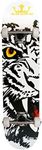 Krown Bengal Rookie Complete Skateboard, 7.5x31(KRRC-49)