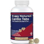 Cardio Tabs Cardio Support and Card